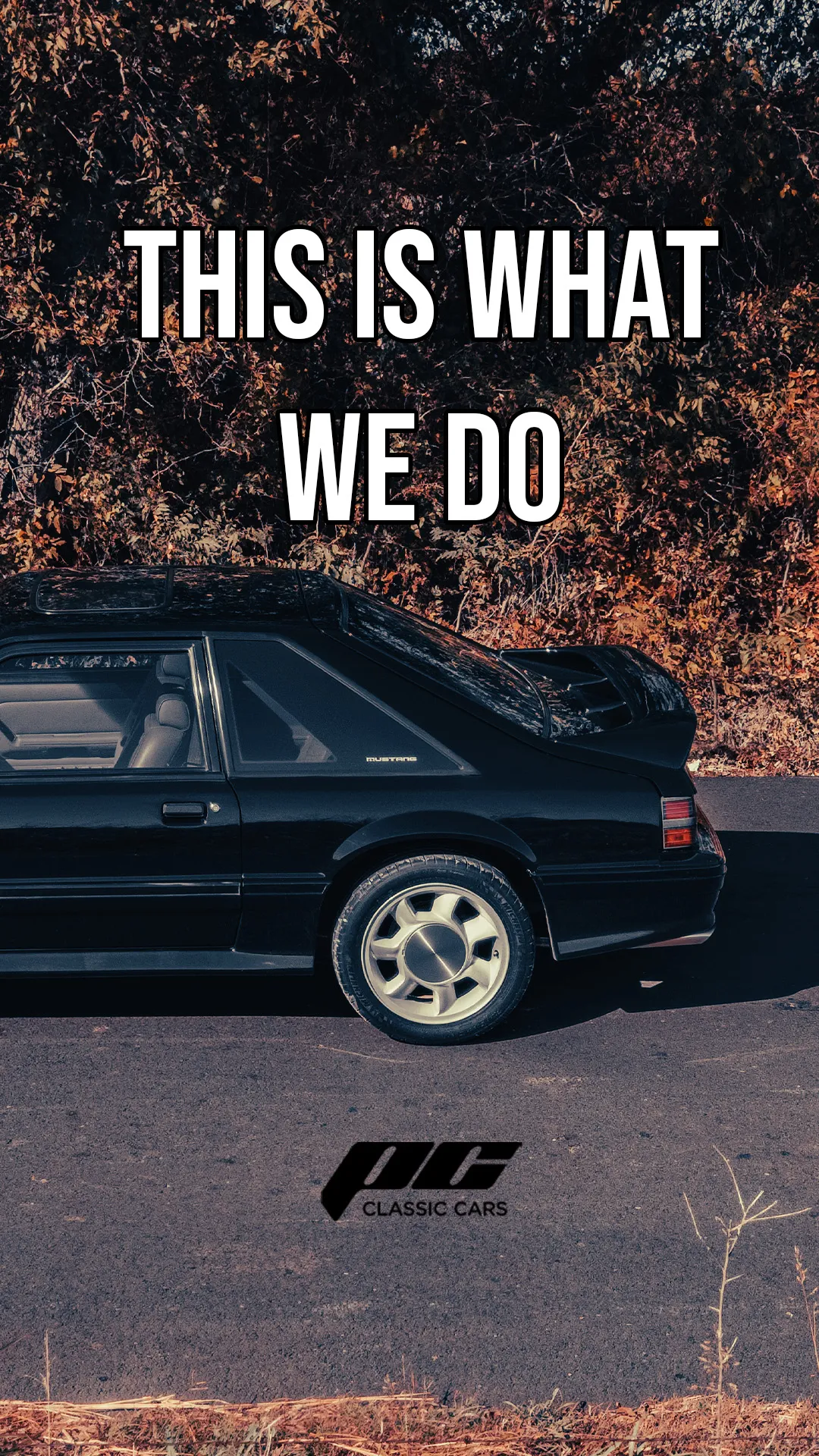 PC Classic Cars: Motivational